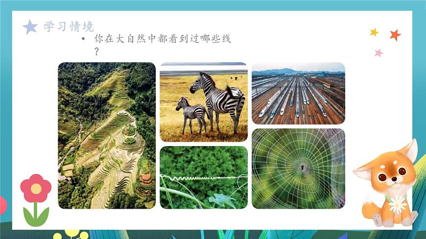 第5课《欢快流畅的线》课件第5页