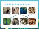第7課《你拓我印的游戲》課件