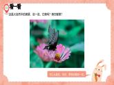 新冀美版小學美術(shù)一上 1-1《我能發(fā)現(xiàn)美》課件