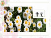 新冀美版小學美術(shù)一上 3-1《花兒真美麗》教學課件