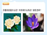 新冀美版小學美術(shù)一上 3-1《花兒真美麗》課件