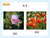 新冀美版小學美術(shù)一上 3-1《花兒真美麗》課件