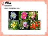 新冀美版小學美術(shù)一上 3-2《畫朵漂亮的花》活動課件