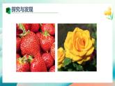 新冀美版小學美術(shù)一上 4-1《都來認顏色》課件
