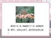 新冀美版小學美術(shù)一上 4-2《美麗的彩虹色》教學課件