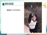 新冀美版小學美術(shù)一上  5-1《尋找甜蜜》-課件