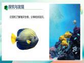 新冀美版小學美術(shù)一上 7-1《探秘海底世界》教學課件