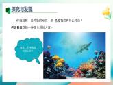 新冀美版小學美術(shù)一上 7-1《探秘海底世界》教學課件