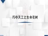 人美版三年級美術(shù)上冊 巧奪天工之生命花樹（課件）