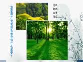 人美版三年級美術(shù)上冊 生機盎然的綠色（課件）