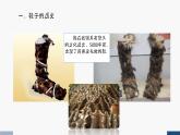 人美版三年級美術(shù)上冊 鞋履雖小 天地甚大（課件）