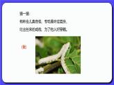 人教版(2024)一年級上冊美術(shù)第7課 勤勞的繭寶寶 課件+教學設計