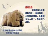 人美版美術(shù)二上第三單元第一課《作品中的動(dòng)物》課件+素材