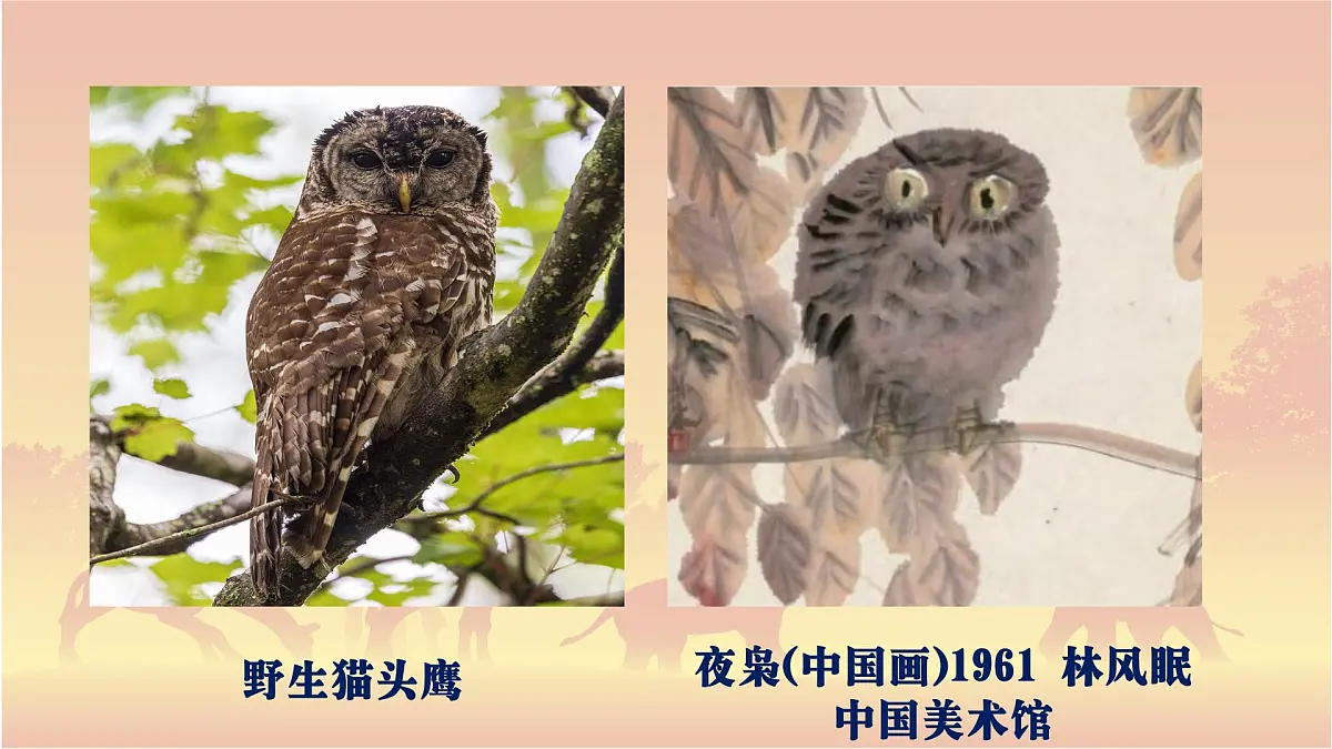 《作品中的动物》第7页