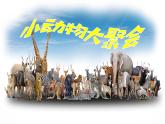 人美版美術(shù)二上第三單元第三課《小動(dòng)物大聚會(huì)》課件+素材