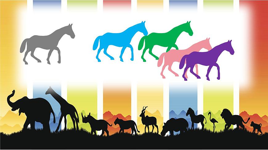 《小动物大聚会》第7页