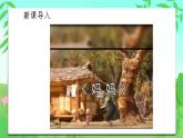 岭南版（2025秋）二年级上册美术第一单元第四课《我要说声“谢谢您”》课件+教案