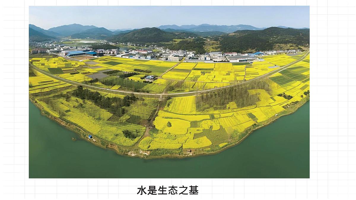 岭南版（2025秋）二年级上册美术第四单元第14课《水是生命之源》课件第5页