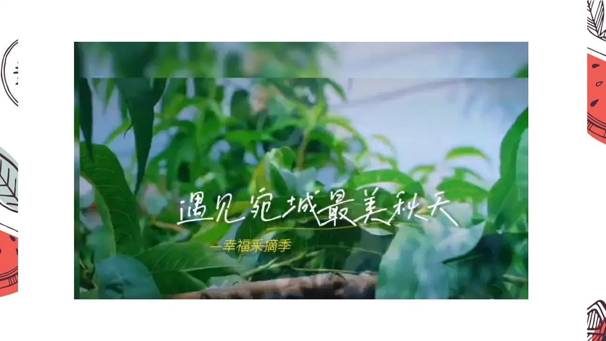 岭南版（2025秋）三年级上册美术第五单元第17课《果实累累》课件第2页