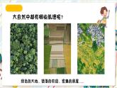 人教版美術(shù)一年級下冊第一單元 第三課《 大地的母親  大地的肌理》 課件