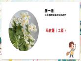 人教版美術(shù)一年級下冊 第一單元  第四課《大地的母親  自然的饋贈》 課件