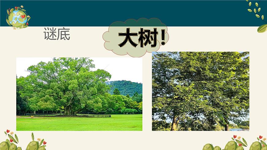 人美版一年级上册（2024秋版）美术1.1《介绍我自己》课件第6页