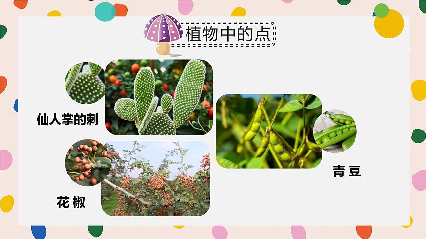 人美版一年级上册（2024秋版）美术2.1《调皮多变的点》课件第3页