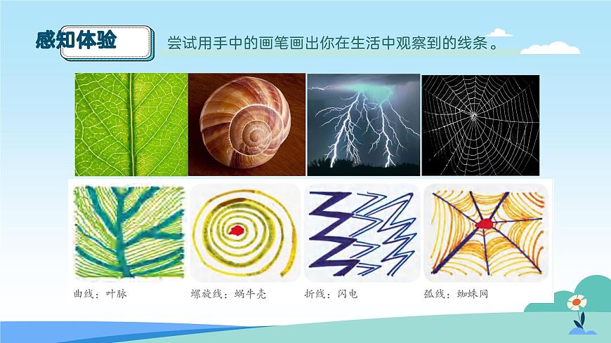 人美版一年级上册（2024秋版）美术2.2《欢快流畅的线》课件第7页