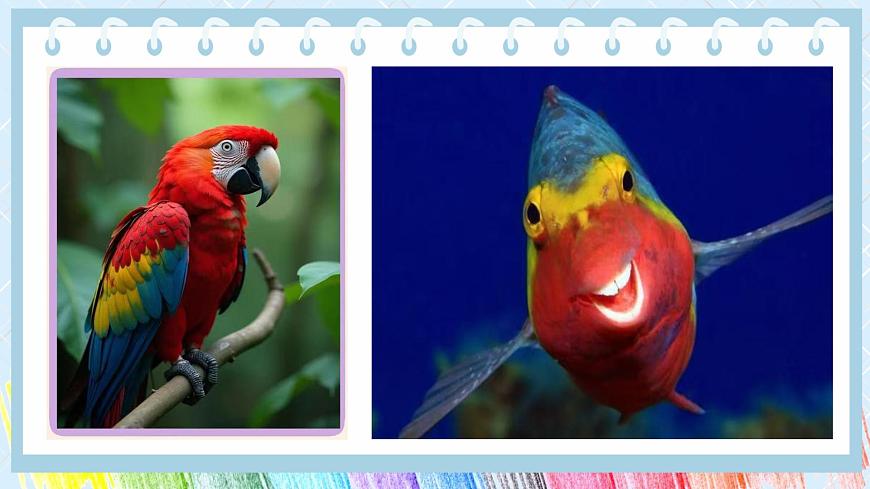 人美版小学三年级美术上册第四单元第一课《红黄蓝交响》课件第5页