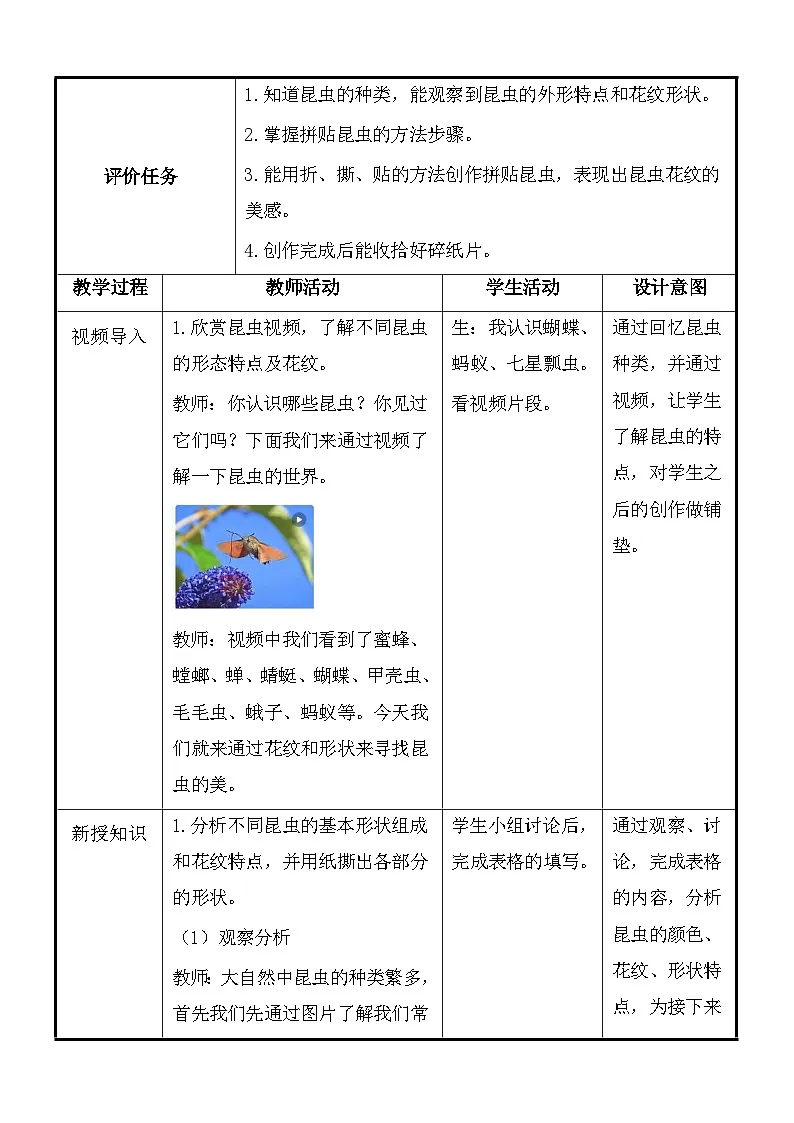 湘美版（2024）一年级上册美术第四单元第二课：寻找昆虫 教案第2页