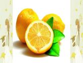 人教版美術(shù)二年級(jí)下冊(cè)：第5課 五味瓶  PPT課件+教案