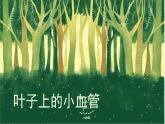 人教版美術(shù)二年級下冊：第8課　葉子上的小“血管”  PPT課件+教案