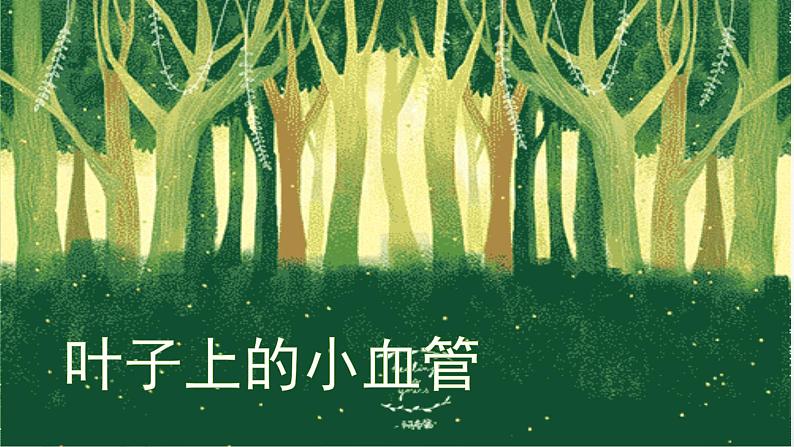 人教版美术二年级下册：第8课　叶子上的小“血管”  PPT课件+教案01