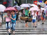 人教版美術二年級下冊：第14課 友誼卡 PPT課件+教案