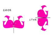 四年級下冊美術課件-《第9課 對稱的美》  人教新課標 (共16張PPT)