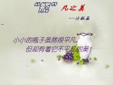 人教版四年級美術(shù)下冊 第12課 平凡的美 課件(共23張PPT)