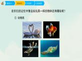 人教版四年級(jí)下冊(cè)美術(shù)17 會(huì)游的玩具 課件(共15張PPT)