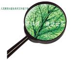 人教版小學(xué)美術(shù)五年級(jí)下冊(cè)第14課 《微觀世界》 課件
