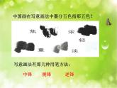 人教版小學(xué)美術(shù)五年級(jí)下冊(cè)第9課《寫意蔬果》 課件