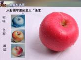 湘美版小學(xué)六年級下冊美術(shù)第5課《瓶花與水果》課件PPT