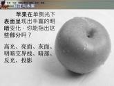 湘美版小學(xué)六年級下冊美術(shù)第5課《瓶花與水果》課件PPT