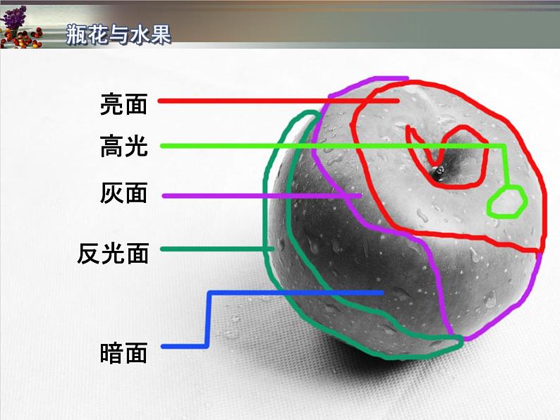 湘美版小学六年级下册美术第5课《瓶花与水果》课件PPT06