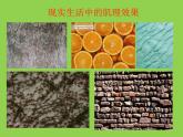 湘美版小學(xué)六年級下冊美術(shù)第5課《瓶花與水果》課件PPT