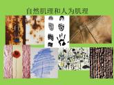 湘美版小學(xué)六年級下冊美術(shù)第5課《瓶花與水果》課件PPT