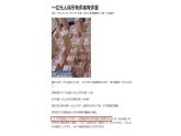 小學(xué) 美術(shù) 湘美版  五年級(jí)下冊(cè)1.巨匠童心課件