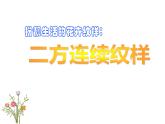 二年级下册美术课件－《7花儿朵朵（二）》课件PPT　　　　　　(共25张PPT)