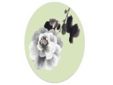 蘇少版二年級美術(shù)下冊 第8課　水墨畫花 課件PPT
