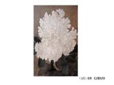 蘇少版二年級美術(shù)下冊 第8課　水墨畫花 課件PPT