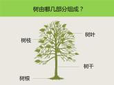 蘇少版二年級(jí)美術(shù)下冊(cè)第9課　樹(shù)上樹(shù)下（一）課件PPT