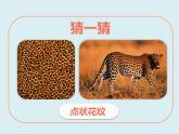 蘇少版二年級(jí)美術(shù)下冊(cè) 第12課　點(diǎn)　線　面 課件PPT